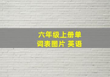 六年级上册单词表图片 英语